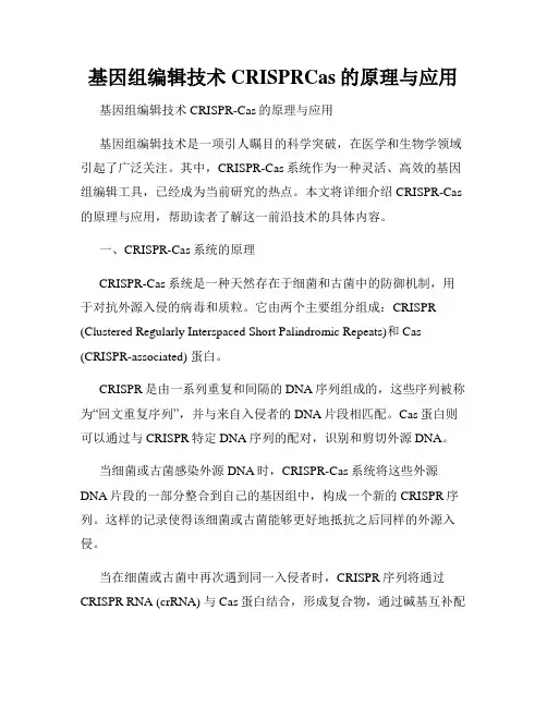 基因组编辑技术CRISPRCas的原理与应用