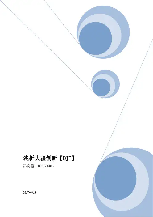 浅析大疆创新