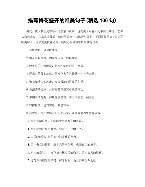 描写梅花盛开的唯美句子(精选100句)