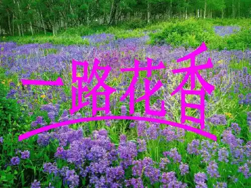 15、《一路花香》课件