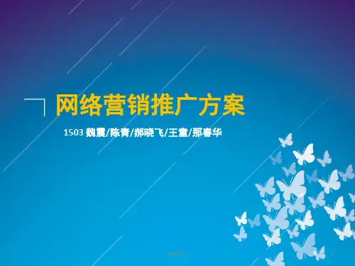 网络营销推广方案(无人机)ppt课件