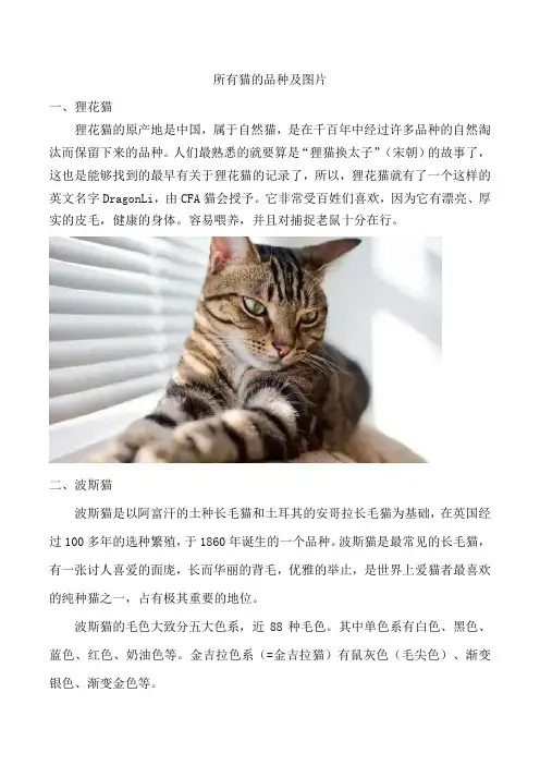 所有猫的品种及图片