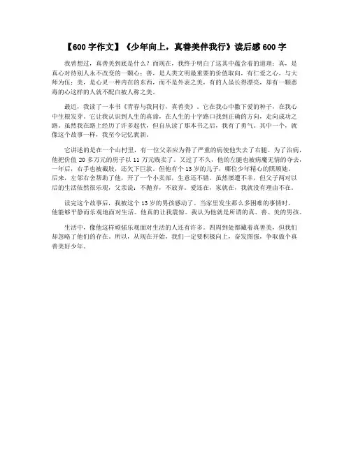 【600字作文】《少年向上,真善美伴我行》读后感600字