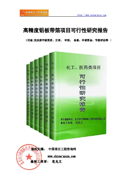 高精度铝板带箔项目可行性研究报告(立项案例)