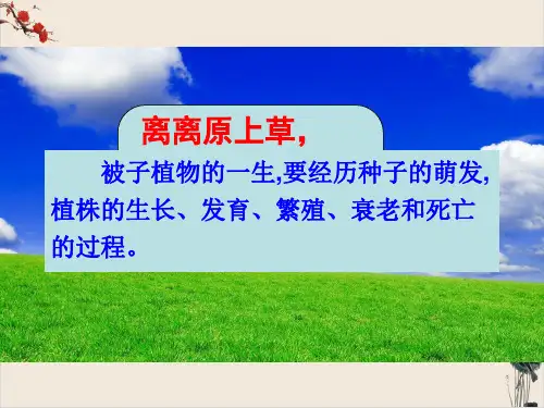 人教版初中生物七年级上册种子的萌发PPT课件