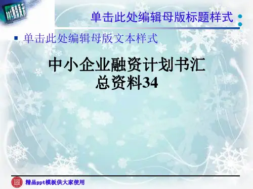 中小企业融资计划书汇总资料34