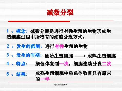 减数分裂过程中染色体数目变化ppt课件