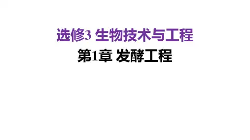 第1章 发酵工程(课件)2024年高考生物一轮复习核心知识清单课件