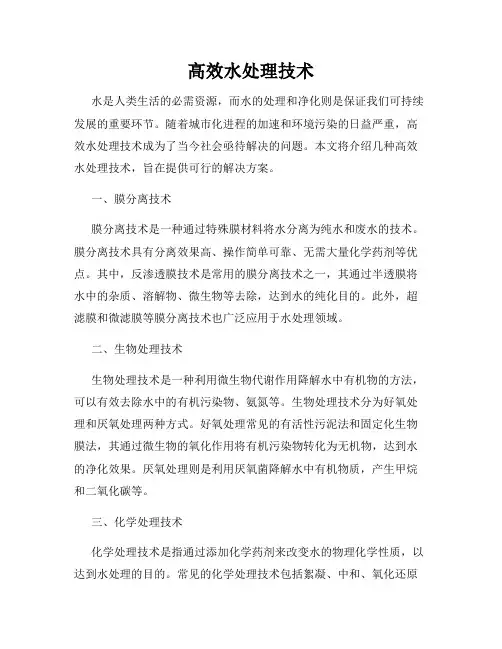 高效水处理技术