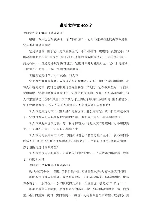 说明文作文600字