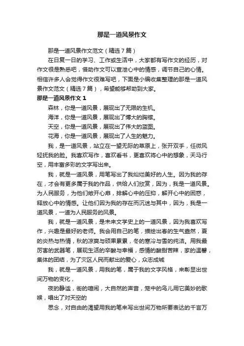那是一道风景作文范文（精选7篇）