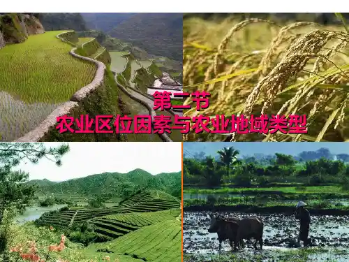 第二节农业区位因素与农业地域类型分析PPT课件