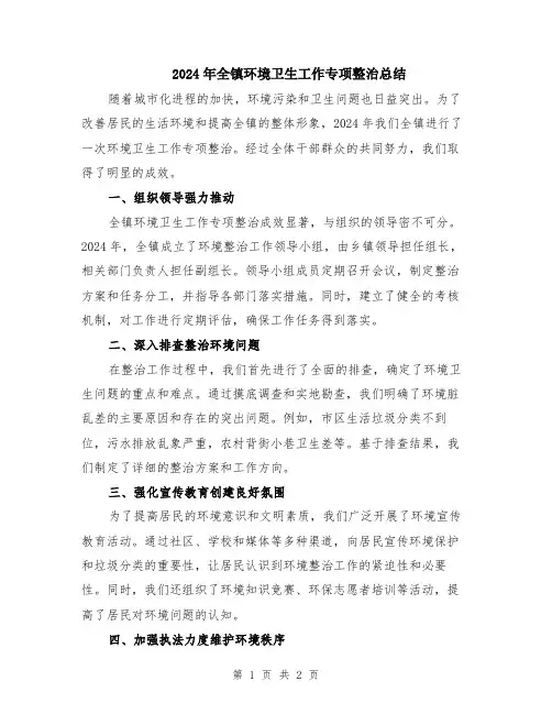 2024年全镇环境卫生工作专项整治总结