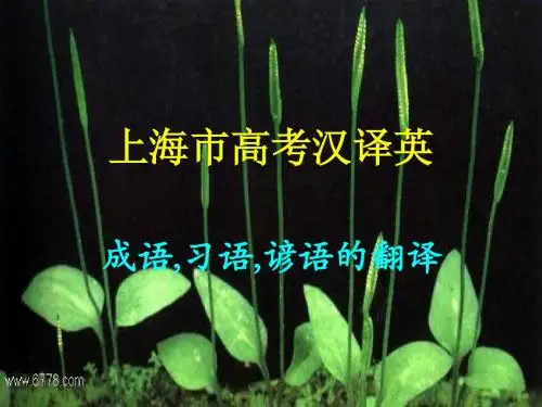 上海市高考汉译英
