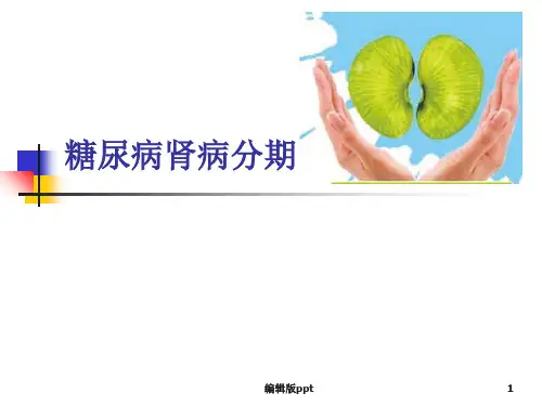 糖尿病肾病分期精品课件