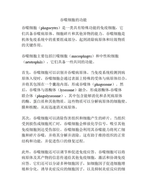 吞噬细胞的功能