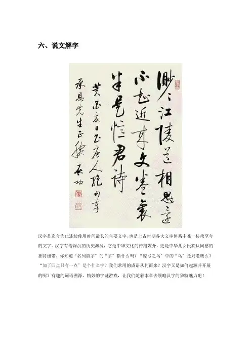 说文解字趣味汉字游戏