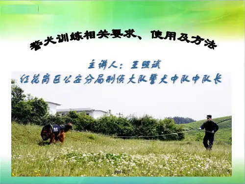 警犬训练相关要求及方法  ppt课件