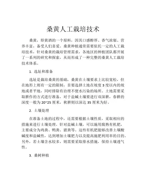 桑黄人工栽培技术