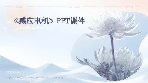 《感应电机》课件