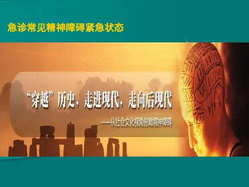 精神科急诊PPT课件