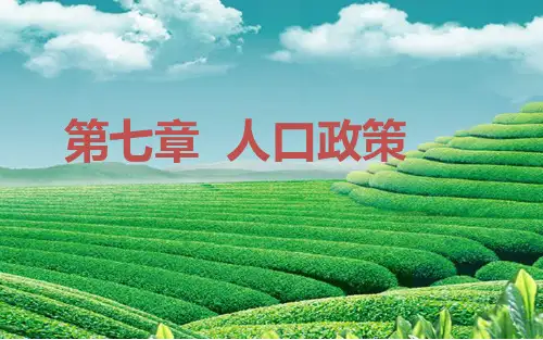 人口政策