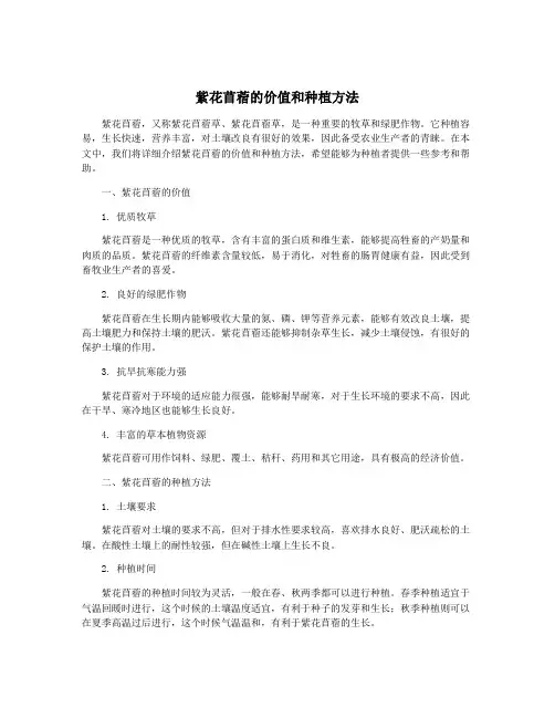 紫花苜蓿的价值和种植方法