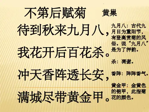 不第后赋菊(古诗赏析)