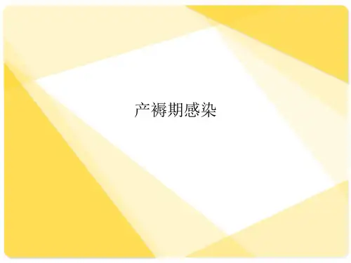 产褥期感染 ppt课件
