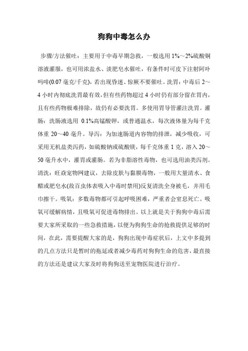 狗狗中毒怎么办