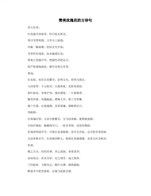 赞美玫瑰花的古诗句