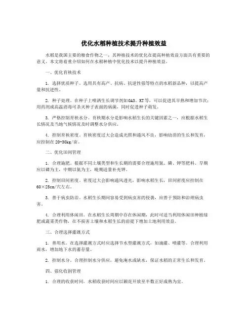 优化水稻种植技术提升种植效益