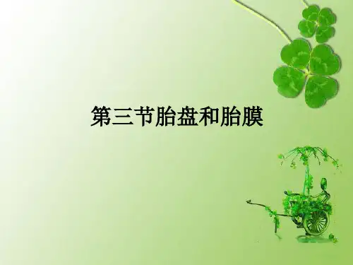 第三节胎盘和胎膜