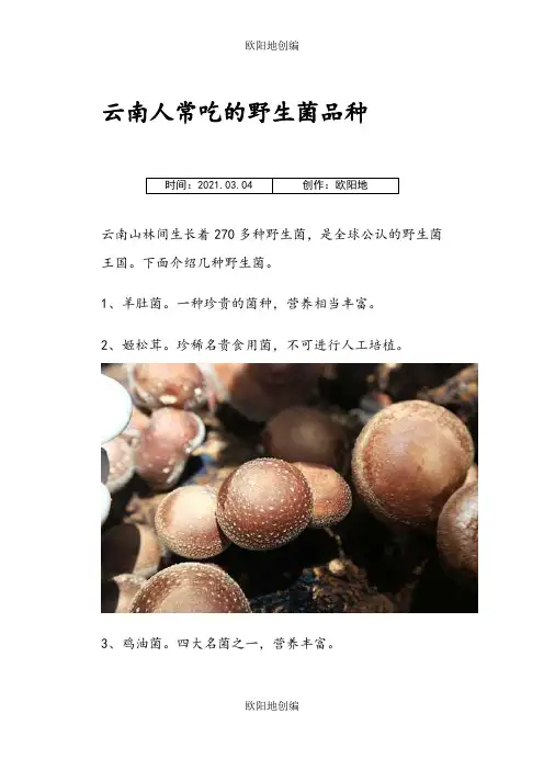 云南人常吃的野生菌品种之欧阳地创编
