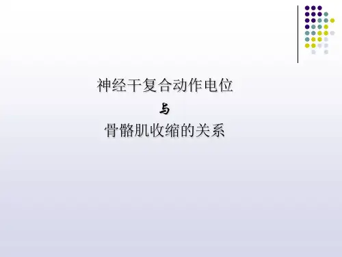 3-神经干动作电位及骨骼肌收缩的关系
