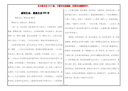 感悟生命,感恩生活800字