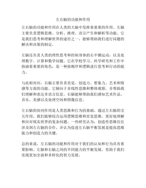 左右脑的功能和作用