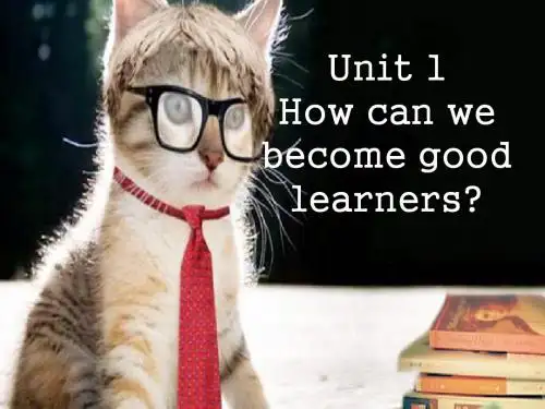 人教版九年级英语Unit-1How-can-we-become-good-learners重点解析.