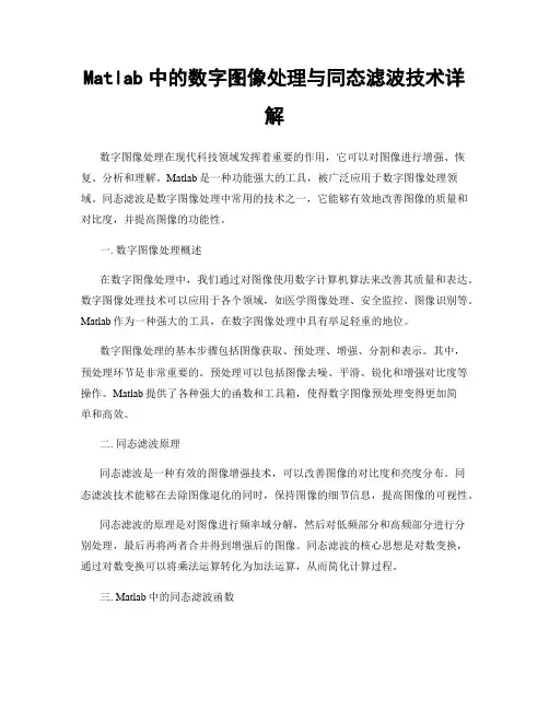 Matlab中的数字图像处理与同态滤波技术详解