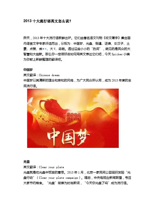 2013十大流行语英文怎么说？