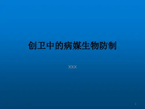 创卫中的病媒生物防制