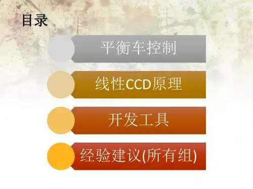 培训资料 北航飞思卡尔培训ppt