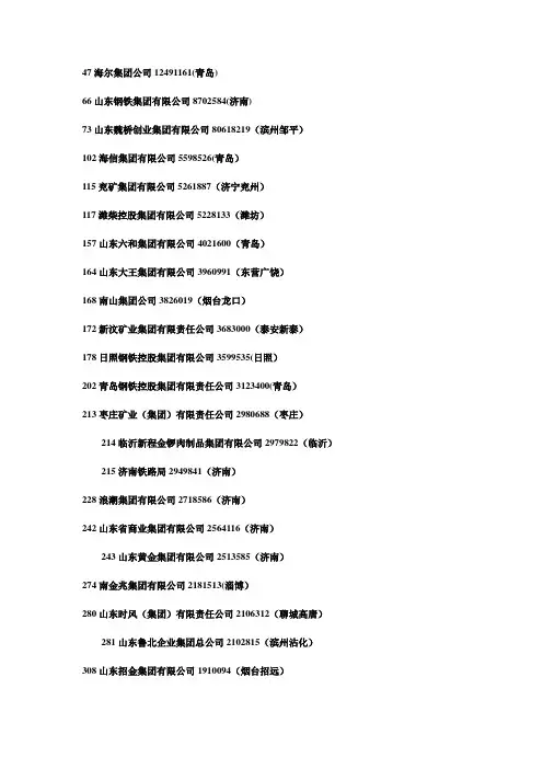 山东500强企业名单
