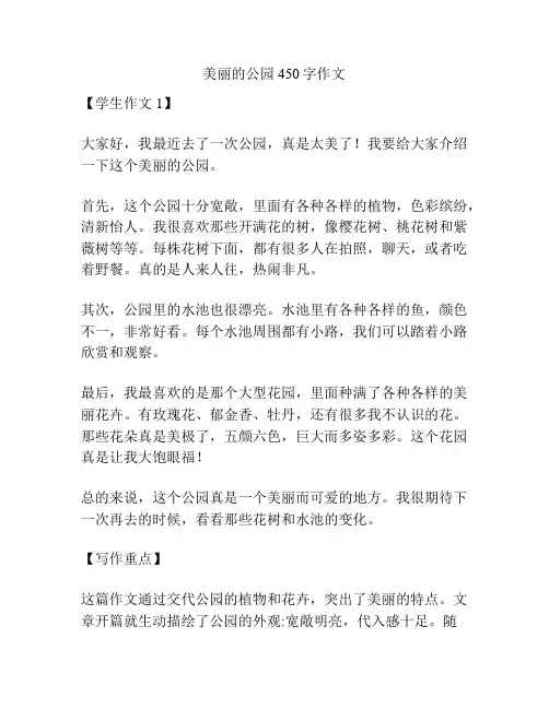 美丽的公园450字作文