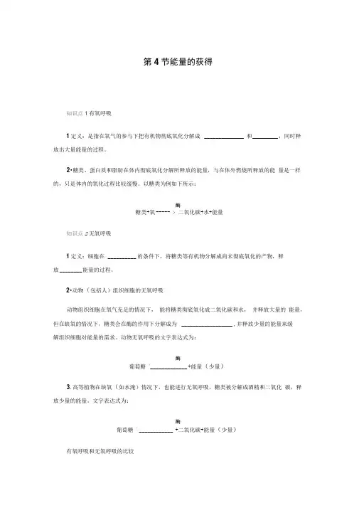 浙教版九年级科学上册章节复习学案：第四章第4节能量的获得