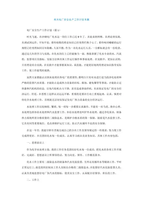 有关电厂安全生产工作计划5篇