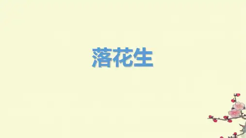 统编版五年级语文上册2落花生课件(共24张PPT)
