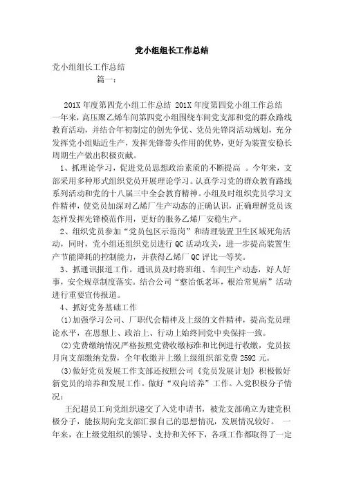 党小组组长工作总结