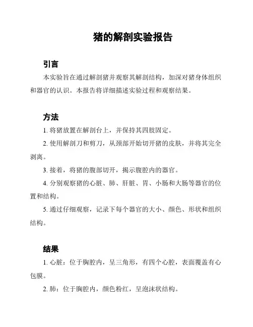 猪的解剖实验报告