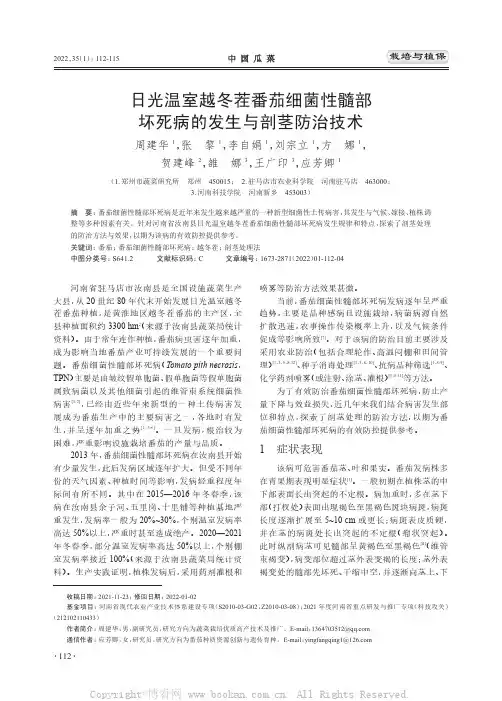 日光温室越冬茬番茄细菌性髓部坏死病的发生与剖茎防治技术